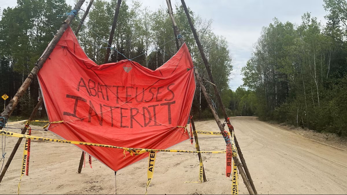 entry.newsSocamImage[0].title